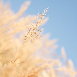 NHDTA一988偷偷拿掉套子
